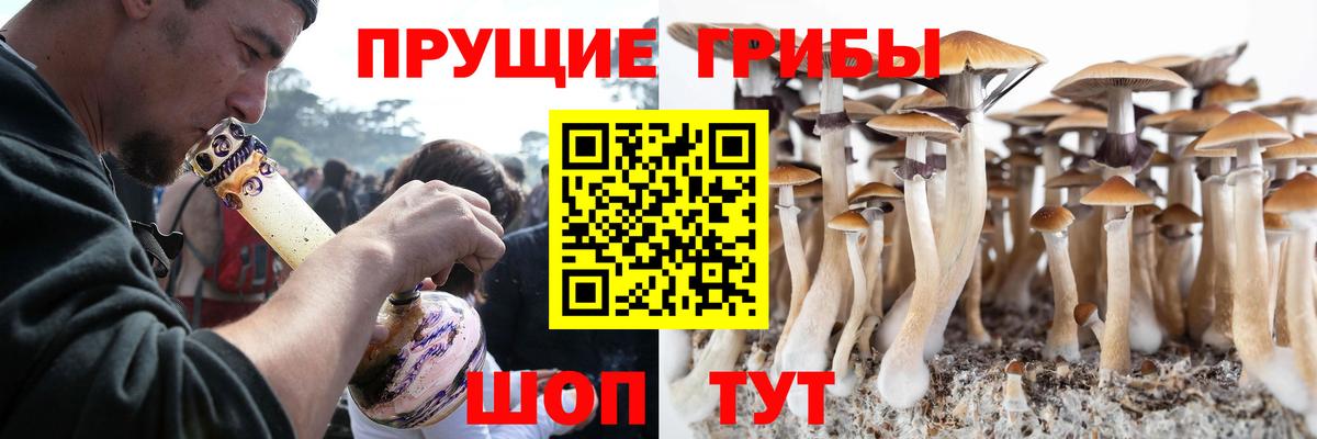 Псилоцибиновые грибы GOLDEN TEACHER  Псилоцибиновые грибы Psilocybine cubensis  Вход с VPN  Костомукша 